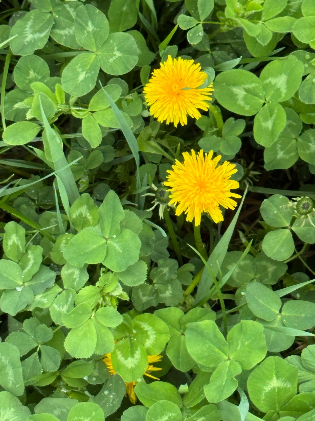 A call for&nbsp;investors